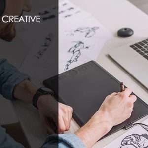 Introduction to Animation Training Course