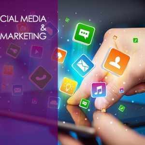 Marketing Tools and Tips for Success