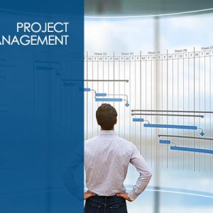 Project Management Professional (PMP Certification Prep) 6th edition PMBOK